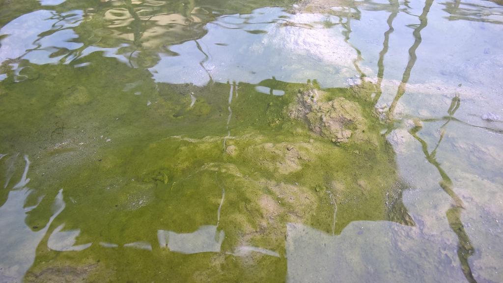 Hotel Terme Belvedere Abano Terme Luaran gambar